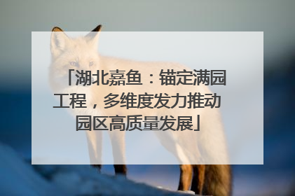 湖北嘉鱼：锚定满园工程，多维度发力推动园区高质量发展