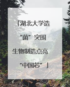 湖北大学造“菌”突围 生物制造点亮“中国芯”