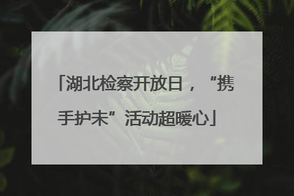 湖北检察开放日，“携手护未”活动超暖心