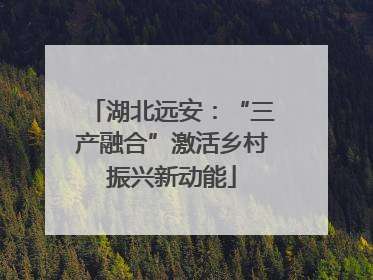 湖北远安：“三产融合”激活乡村振兴新动能