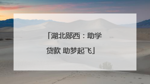 湖北郧西：助学贷款 助梦起飞