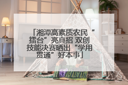 湘潭高素质农民“擂台”亮真招 双创技能决赛晒出“学用贯通”好本事