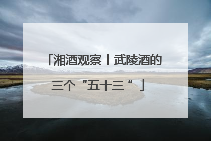 湘酒观察丨武陵酒的三个“五十三 ”