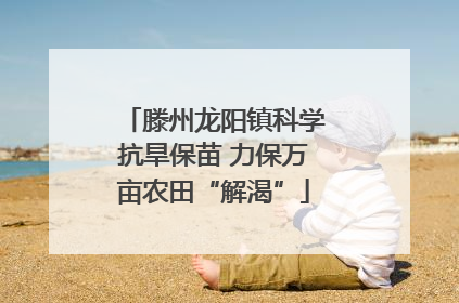 滕州龙阳镇科学抗旱保苗 力保万亩农田“解渴”