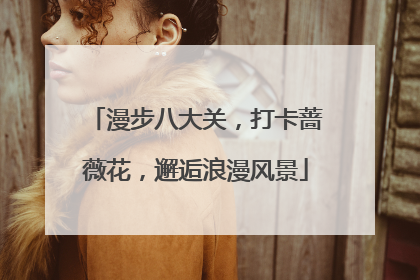 漫步八大关，打卡蔷薇花，邂逅浪漫风景