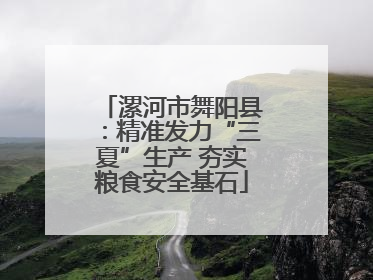 漯河市舞阳县：精准发力“三夏”生产 夯实粮食安全基石