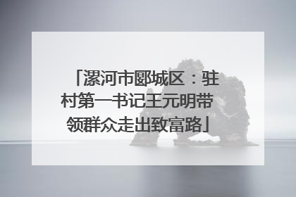 漯河市郾城区：驻村第一书记王元明带领群众走出致富路