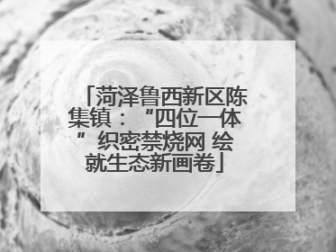 菏泽鲁西新区陈集镇：“四位一体”织密禁烧网 绘就生态新画卷