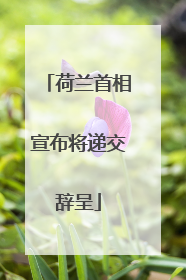 荷兰首相宣布将递交辞呈