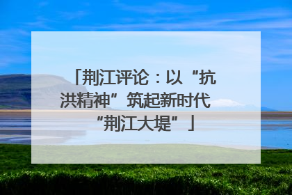 荆江评论：以“抗洪精神”筑起新时代“荆江大堤”