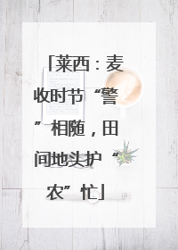 莱西：麦收时节“警”相随，田间地头护“农”忙