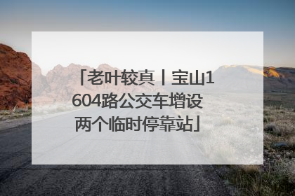 老叶较真丨宝山1604路公交车增设两个临时停靠站