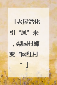 老屋活化引“凤”来，梨园村蝶变“网红村”