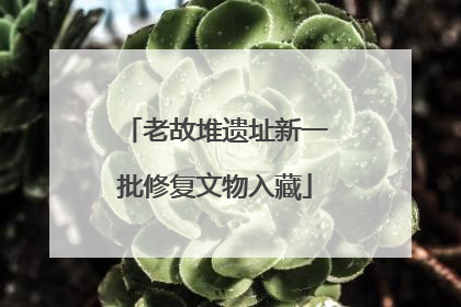 老故堆遗址新一批修复文物入藏