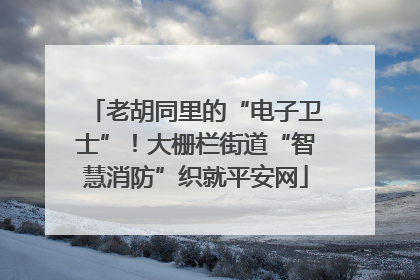 老胡同里的“电子卫士”！大栅栏街道“智慧消防”织就平安网