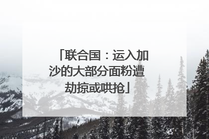 联合国：运入加沙的大部分面粉遭劫掠或哄抢