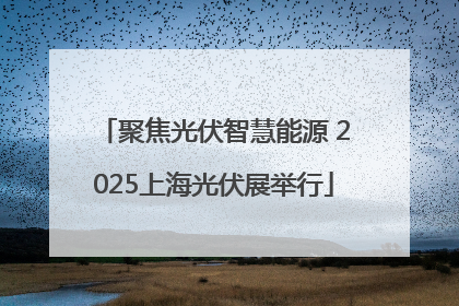 聚焦光伏智慧能源 2025上海光伏展举行