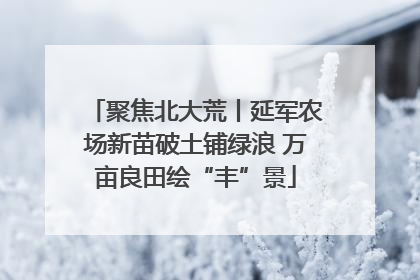 聚焦北大荒丨延军农场新苗破土铺绿浪 万亩良田绘“丰”景