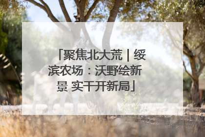 聚焦北大荒｜绥滨农场：沃野绘新景 实干开新局