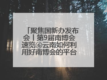 聚焦国新办发布会丨第9届南博会速览⑥云南如何利用好南博会的平台带动作用，深化与南亚国家的交流与合作？