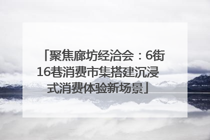 聚焦廊坊经洽会：6街16巷消费市集搭建沉浸式消费体验新场景