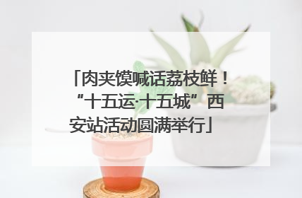 肉夹馍喊话荔枝鲜！“十五运·十五城”西安站活动圆满举行