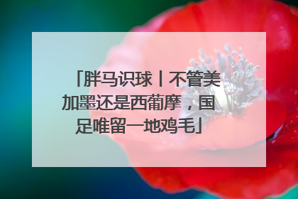 胖马识球丨不管美加墨还是西葡摩，国足唯留一地鸡毛