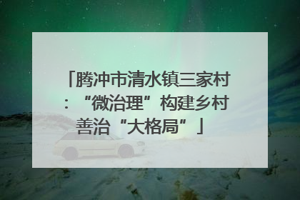 腾冲市清水镇三家村：“微治理”构建乡村善治“大格局”
