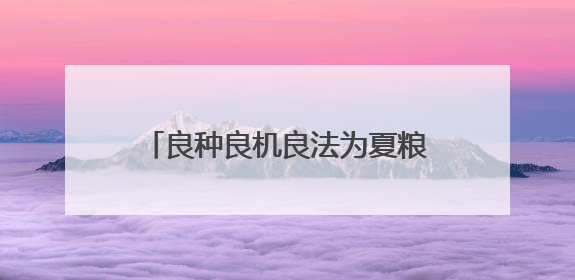 良种良机良法为夏粮丰收提供“硬支撑” 农业现代化图景有“智”更有“质”