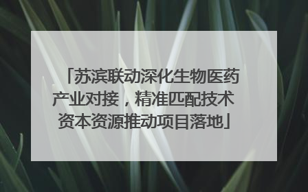 苏滨联动深化生物医药产业对接，精准匹配技术资本资源推动项目落地