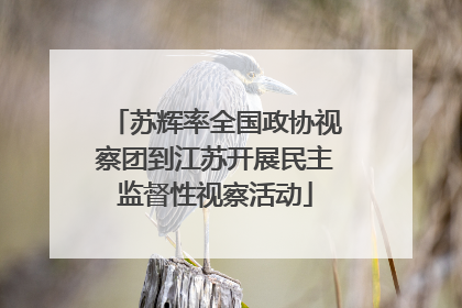 苏辉率全国政协视察团到江苏开展民主监督性视察活动
