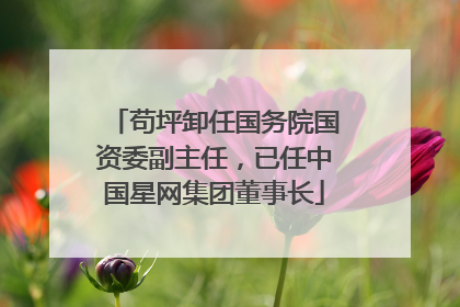 苟坪卸任国务院国资委副主任，已任中国星网集团董事长
