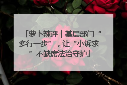 萝卜辣评｜基层部门“多行一步”，让“小诉求”不缺席法治守护