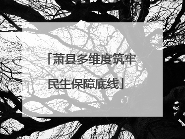 萧县多维度筑牢民生保障底线