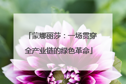 蒙娜丽莎：一场贯穿全产业链的绿色革命