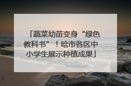 蔬菜幼苗变身“绿色教科书”！哈市各区中小学生展示种植成果