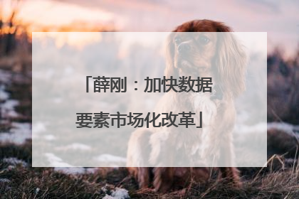 薛刚：加快数据要素市场化改革