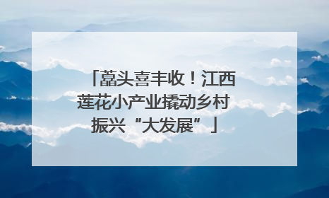 藠头喜丰收！江西莲花小产业撬动乡村振兴“大发展”