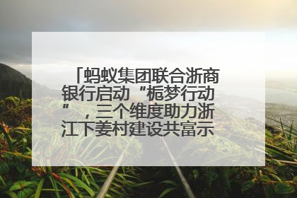 蚂蚁集团联合浙商银行启动“栀梦行动”，三个维度助力浙江下姜村建设共富示范区示范点