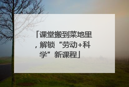 课堂搬到菜地里，解锁“劳动+科学”新课程