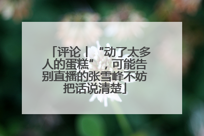 评论丨“动了太多人的蛋糕”，可能告别直播的张雪峰不妨把话说清楚