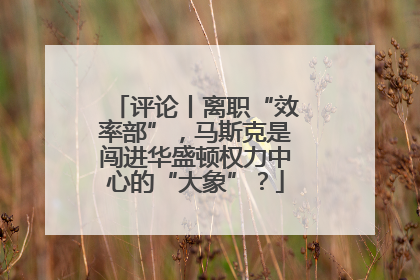 评论丨离职“效率部”，马斯克是闯进华盛顿权力中心的“大象”？