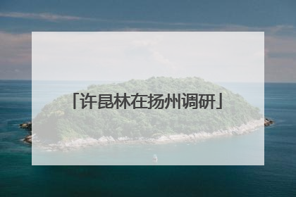 许昆林在扬州调研