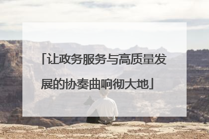 让政务服务与高质量发展的协奏曲响彻大地