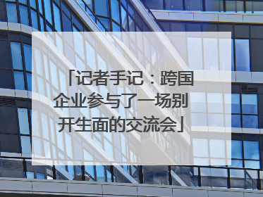 记者手记：跨国企业参与了一场别开生面的交流会