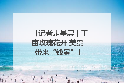 记者走基层｜千亩玫瑰花开 美景带来“钱景”