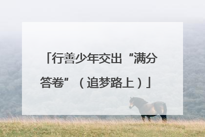 行善少年交出“满分答卷”（追梦路上）
