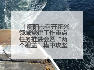 衡阳市召开新兴领域党建工作重点任务推进会暨“两个覆盖”集中攻坚工作专班 第一次会议