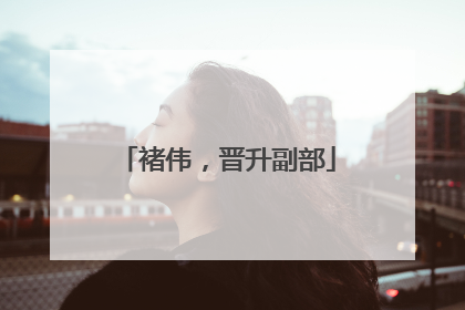 褚伟，晋升副部