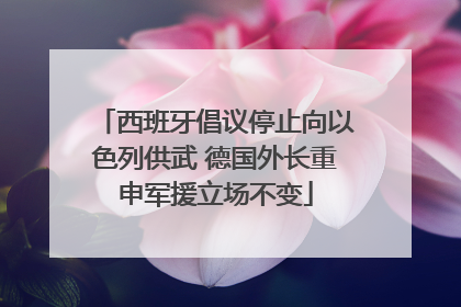 西班牙倡议停止向以色列供武 德国外长重申军援立场不变